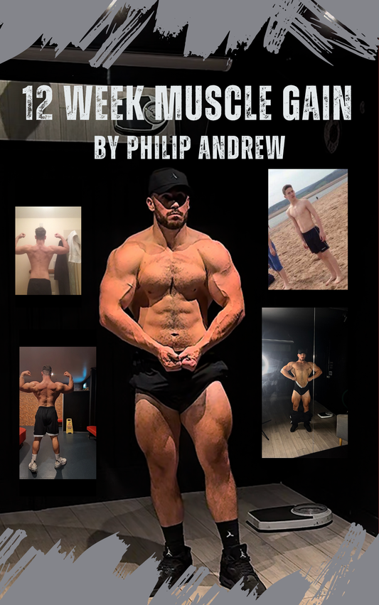 MENS 12 WEEK MUSCLE GAIN PROGRAM